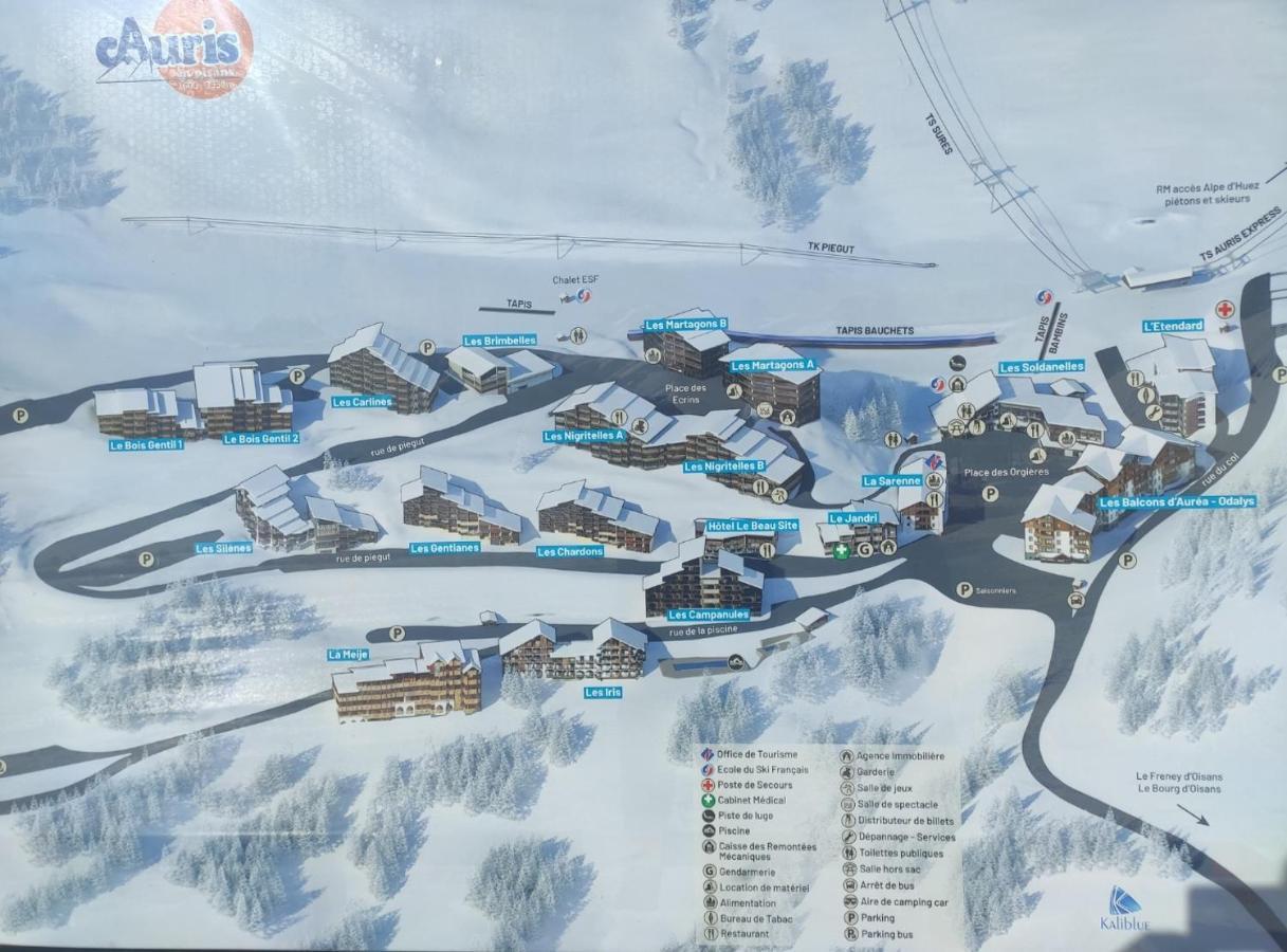 Les Gentianes Station Alpe Huez Apartment *