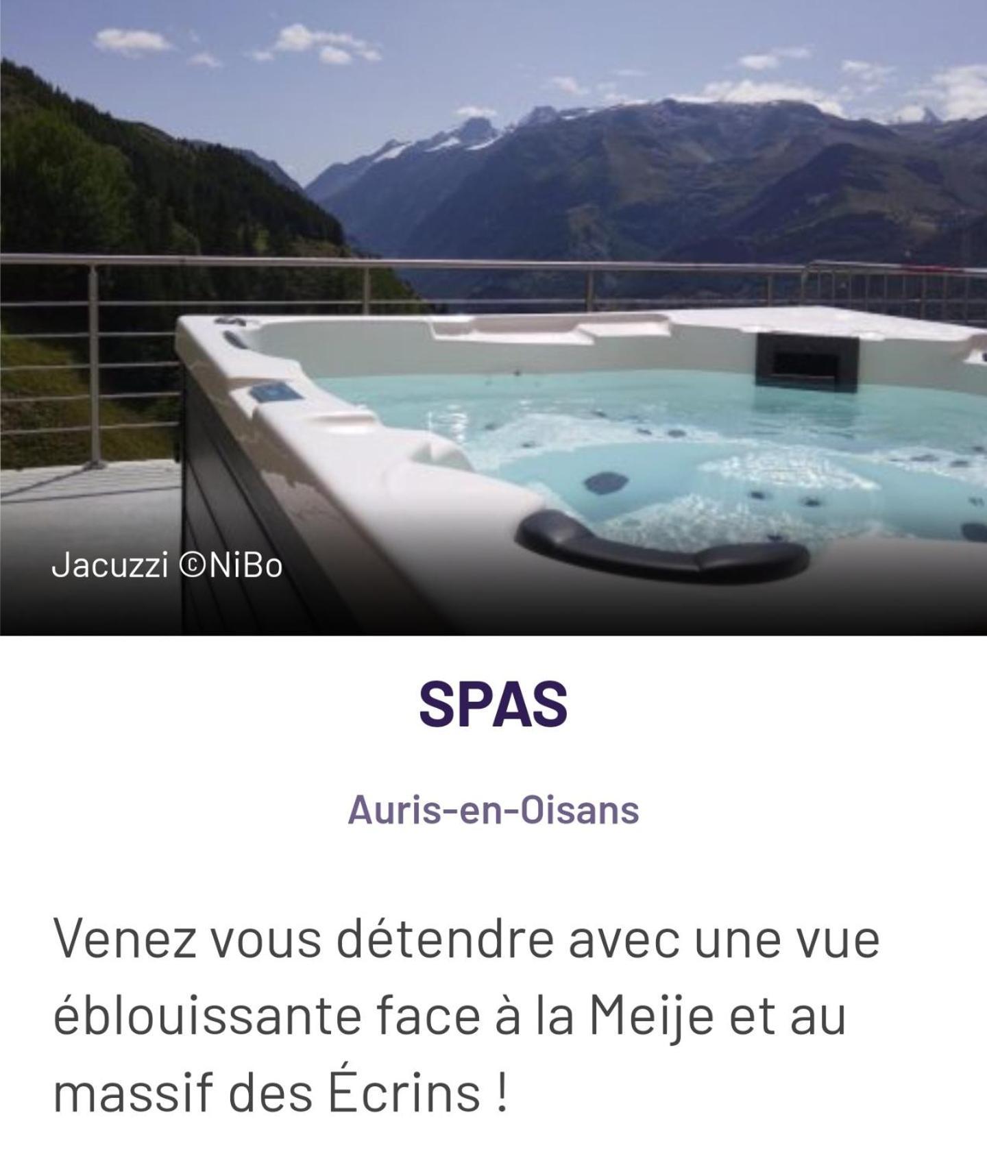 Apartment Les Gentianes Station Alpe Huez *